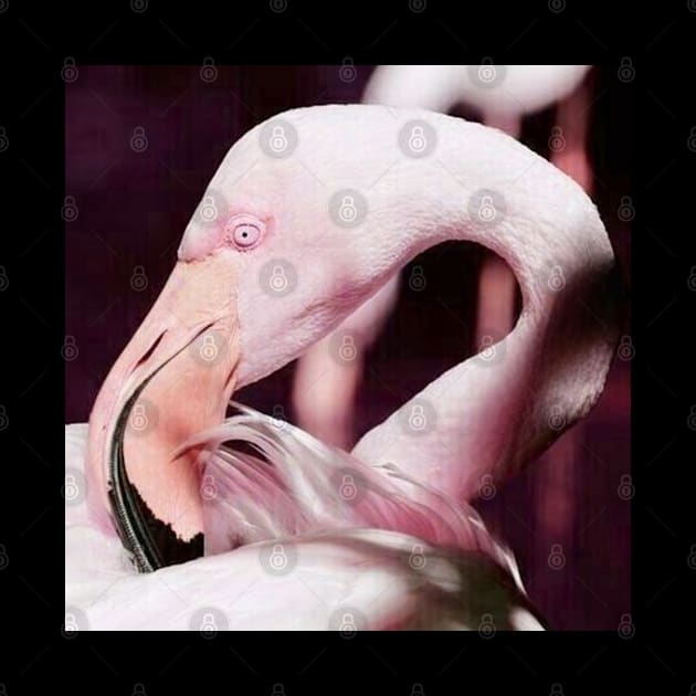 Pink Flamingo Real Photograph Art Nature Design by DesignIndex