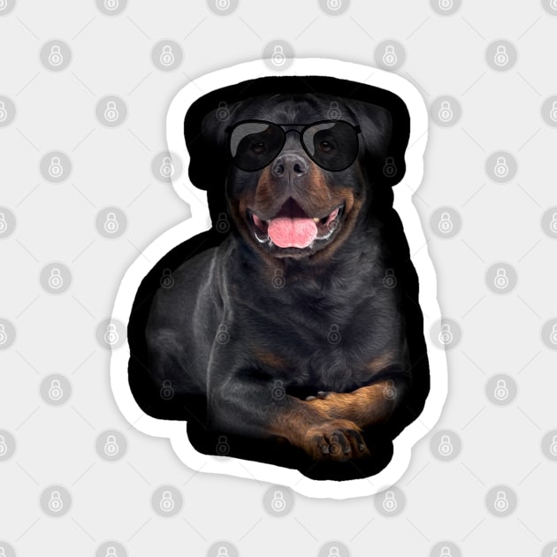 Rottweiler  - Metzgerhund Magnet by Nartissima