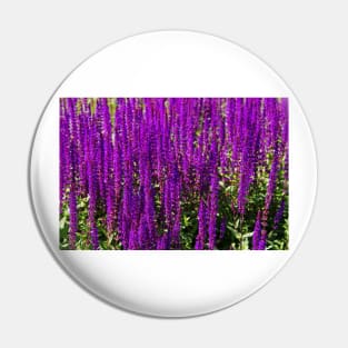 Purple loosestrife Pin