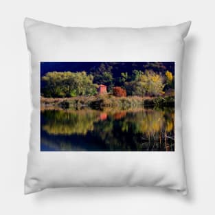 Autumn Pillow