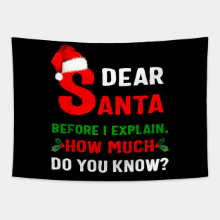 Funny Xmas Dear Santa Before I Explain How Much Do You Know Tapestry