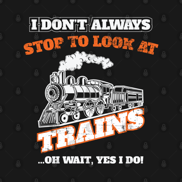 Train I Dont Always Stop To Look At Trains Train Hoodie TeePublic