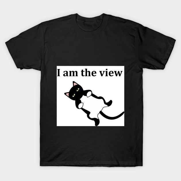Funny Cat T Shirts Lovely Meowy Kitten T Shirt Funny Cat Design