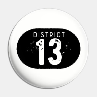District 13 Pin