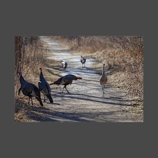 Turkey and Sandhill Crane T-Shirt