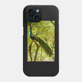 Bird of Paradise 2 Phone Case