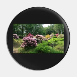 Rhododendron Park Pin