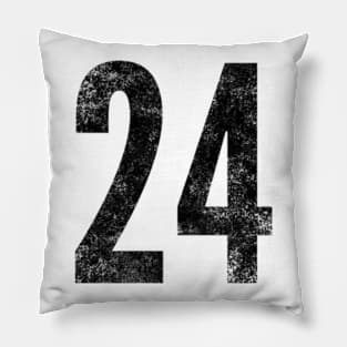 Twenty Four Pillow