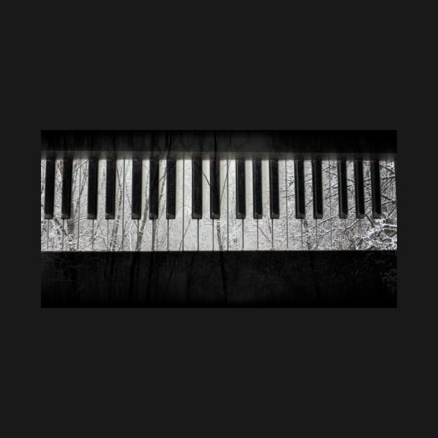 Winter Piano by Voice0Reason