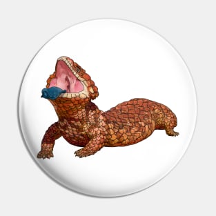 shingleback blue tongue skink Pin