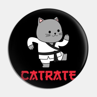 CUTE KARATE CAT JAPANESE Pin