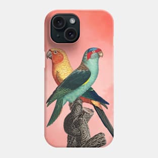 The Birds and the pink sky I Phone Case