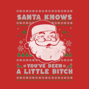 Santa Knows You've Been a Little Bitch T-Shirt