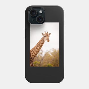 Head shot of a giraffe Phone Case