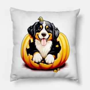 Bernese Mountain Dog inside Pumpkin #2 Pillow