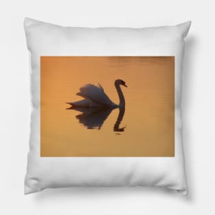 Swan Reflection Pillow