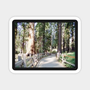 Yosemite Pathway Magnet