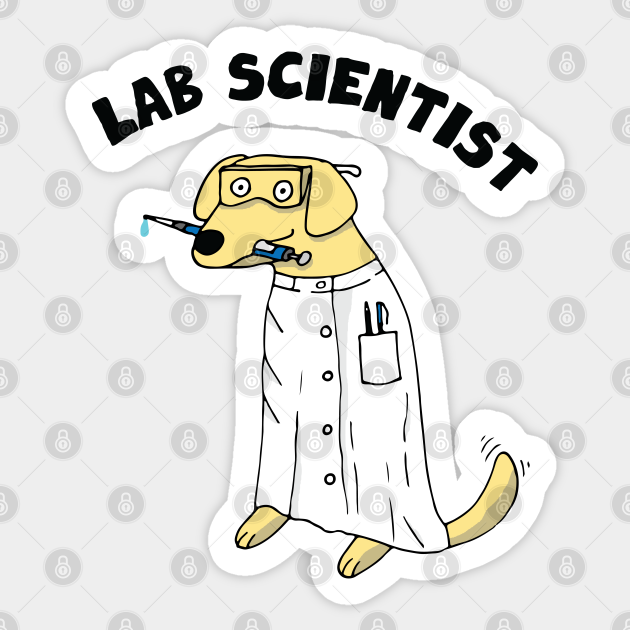 Lab Labrador - Scientist - Sticker