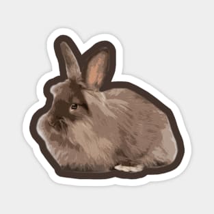 Furry Brown Lionhead Rabbit Love Attention Magnet