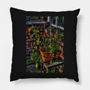 Tomatoes Pillow