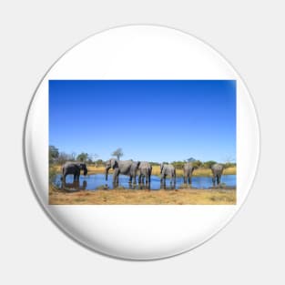 Elephants Wading in a Shallow River in Botswana Pin