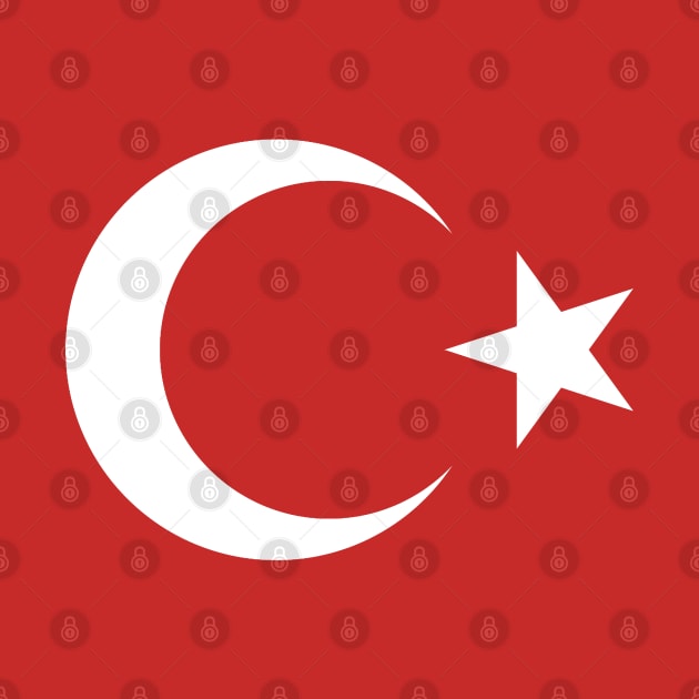 Turkey Flag by Historia