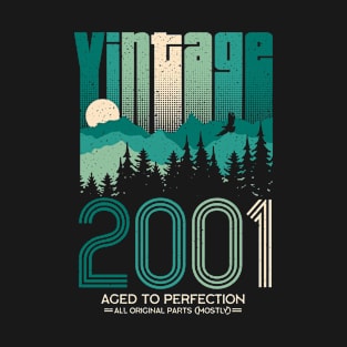 Vintage 2001 20th Birthday Twenty Years Gift T-Shirt