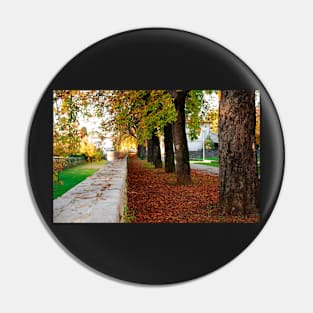 Autumn Path Pin