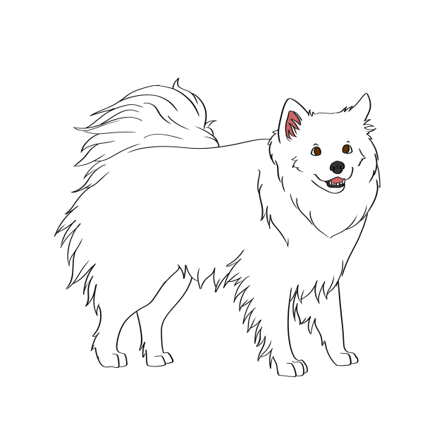 American Eskimo Dog by Adastumae