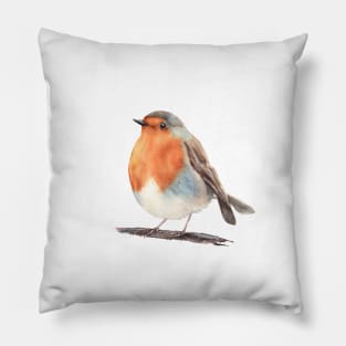 Cute robin bird painting Pillow
