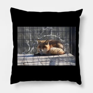 Red Fox Pillow