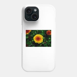 Sun Burst After the Rain Phone Case