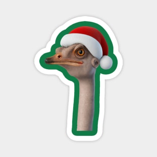 Fun Ostrich Weating Santa Hat Animal Humor Magnet