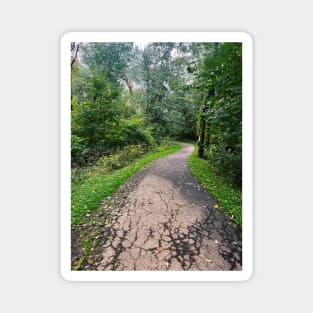 Late September Morning New England Nature Walk - winding path Magnet