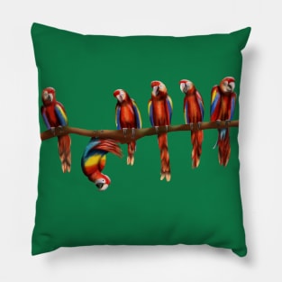 Misfit Macaw Pillow