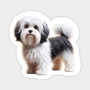Havanese Magnet