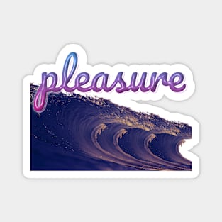 pleasure Magnet