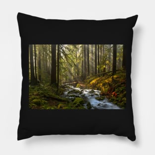 Winding Through The Sol Duc Rainforest Pillow