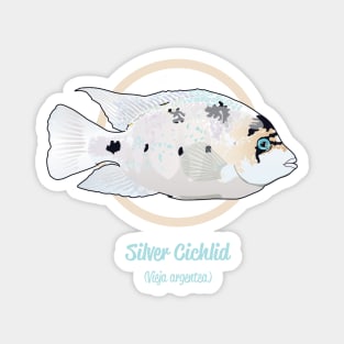 Silver Cichlid Magnet