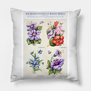 Flower watercolor illustration (1915) Pillow