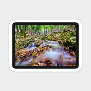 River flowing through rocks Magnet