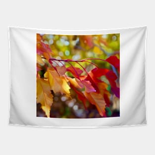 Autumn Morning Tapestry