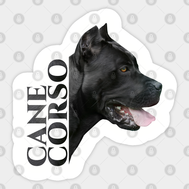Cane Corso Italian Mastiff Cane Corso Sticker Teepublic