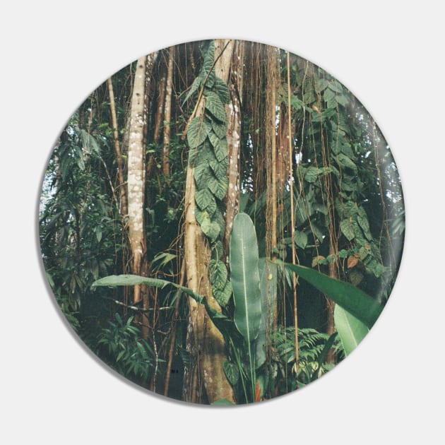 Jungle Serenity - Tropical Foliage Film Photo Art Pin by HFGJewels