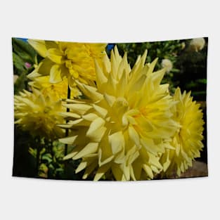 Yellow Dahlias Tapestry