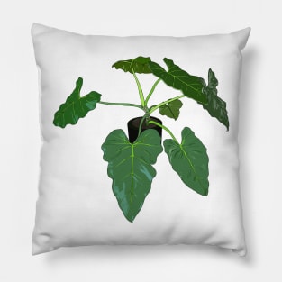 Philodendron giganteum Pillow