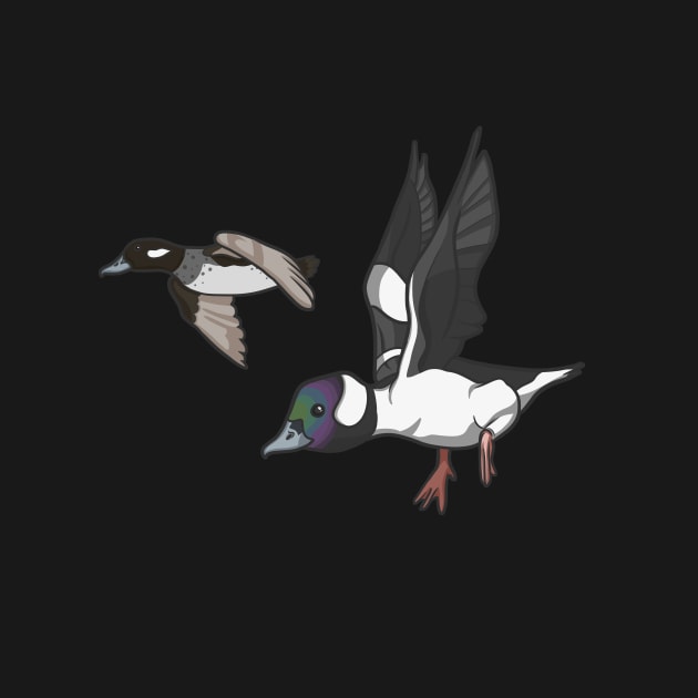 Bufflehead Pair by Ginboy