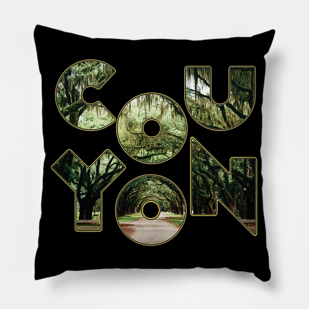 COUYON Pillow by SCL1CocoDesigns