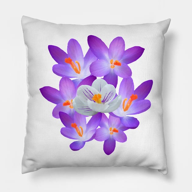 purple spring flower violet flowery floral Pillow by rh_naturestyles