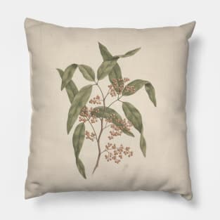 Rhus Retinorrhoea Oliver by Luigi Balugani Pillow